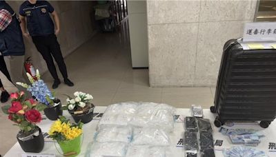 荷蘭郵寄假花夾藏毒品 刑事局海關查獲9.2公斤K他命 - 社會