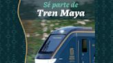 ¿Quieres trabajar en el Tren Maya? Hay vacantes