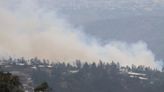 Incendio forestal llegó hasta la Tola Chica, en Tumbaco