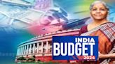 Budget 2024: India likely to spend 3.88 trillion rupees in food and fertiliser subsidy