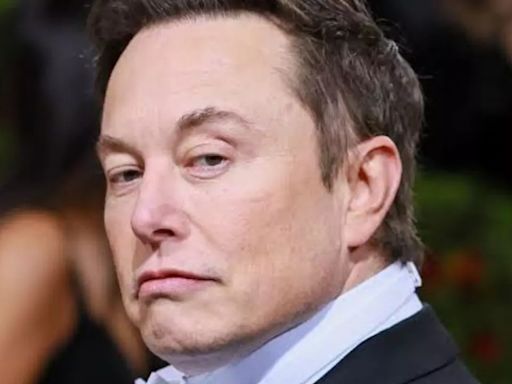 'Will Skip Omelets': Elon Musk Responds to Criticism of SpaceX Launch Destroying Bird Nests