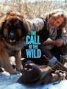 The Call of the Wild: Dog of the Yukon