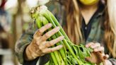 List of Keto Vegetables: New Options If You’re Eating Keto