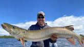 Anderson: Where have all of Minnesota's muskies gone?