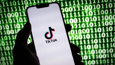 加情報局長：中共可用TikTok監視加拿大人