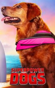 Superpower Dogs