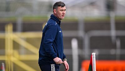 Maher steps down as Laois hurling manager