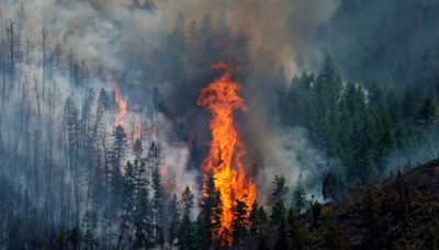 Colorado wildfire claims life as California blaze grows | World News - The Indian Express