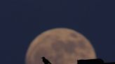 Look skyward tonight for the strawberry moon