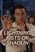 Lightning Fists of Shaolin