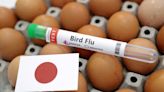 Japan detects season's first bird flu case, to cull 40,000 birds - NHK