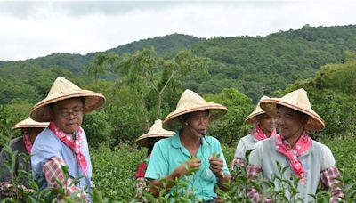 農水署斥資近億元改善冬山灌溉 預估150家農戶受益 - 寶島