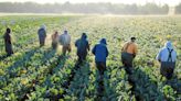 “Playing fast and loose”: Vilsack urges realism from GOP as farm bill negotiations hit stalemate