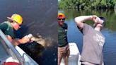 Florida man goes viral using an alligator to open a beer can - Dexerto