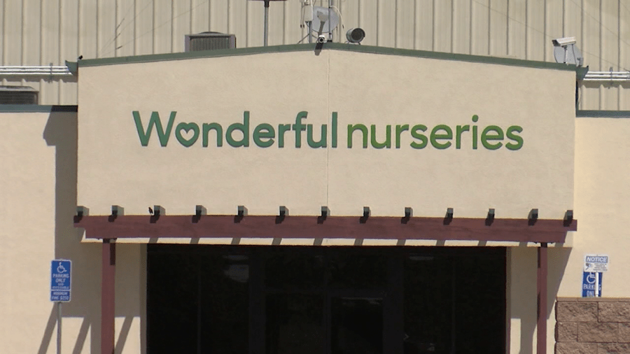 Court rules UFW won’t represent Wonderful Nurseries workers, for now