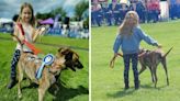 Six-year-old handler and her 'beloved' rescue dog win gold at local show