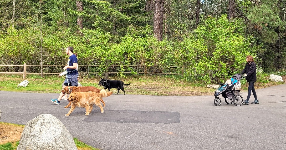 Post Falls decommissioning 'social' trails at Kiwanis Park