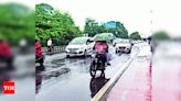 Heavy Rains Forecasted in Odisha Till Saturday: IMD | Bhubaneswar News - Times of India