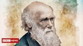 Darwin no Brasil: como viagem do naturalista pelo país influenciou a Teoria da Evolução