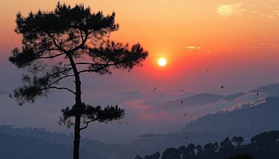 Revealing The Hidden Charms That Make Kasauli A Popular Destination