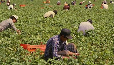 Oregon Congresswoman introduces bill to provide disaster relief to farmworkers