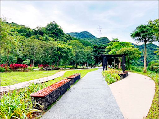 新北「漫遊山海線」輕旅行 看落羽松、追拍火車