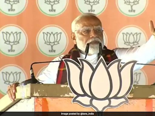 Watch: PM Modi Stops Speech, Asks His Doctors To Treat Journalist Who Fainted At Rally