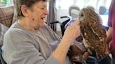 Feathered fun as Wingfield Care Home’s residents meet Wren’s Birds of Prey