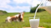 Unveiling H5N1: Comparative Risks of Raw Milk and Airborne Transmission