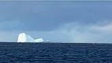 Alerta en Ushuaia: un iceberg gigante apareció en la costa y pone en peligro la navegación