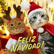 Imágenes de Feliz Navidad. 60 tarjetas de felicitación para Navidad