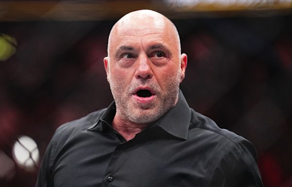 Joe Rogan reveals what could be 'game over for the human race'