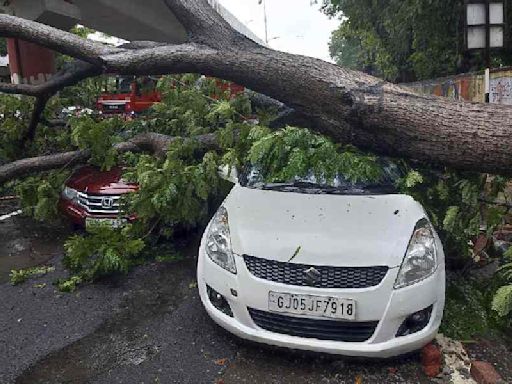 Heavy rains lash Gujarat, Kalyanpur gets 174 mm in 12 hours; red alert for some districts