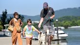 Goats arrive on Maclellan Island near downtown Chattanooga | Chattanooga Times Free Press