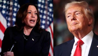 Trumps Net Worth Shrinks By $900M Since Harris Entered Race