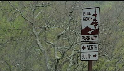 Woman dies after driving off Blue Ridge Parkway into tree