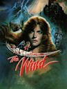 The Wind (1986 film)
