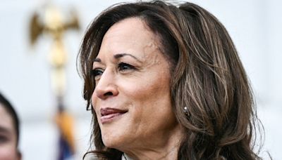 Democrats rally around Harris as her campaign takes shape: From the Politics Desk