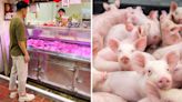 Singapore imports pork from over 20 sources, no need to hoard: Baey Yam Keng