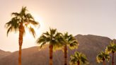 United Airlines adds nonstops from DC to Palm Springs - WTOP News