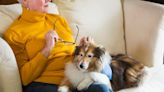 One Senior Place: How can I plan for my pet's future if I become incapacitated or die