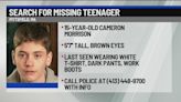 Pittsfield PD searching for missing teen