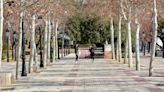 El Ayuntamiento de Tomelloso refuerza la seguridad del parque Urbano Martínez con vigilancia privada