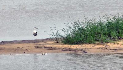 El río Paraná se recupera: volvería a superar los tres metros en Santa Fe