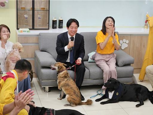 屏東縣動物之家啟用 截肢犬「斑斑」獲總統認養 - 生活