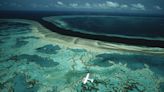 Decisión histórica de Australia de rechazar un megaproyecto minero junto a la Gran Barrera de Coral