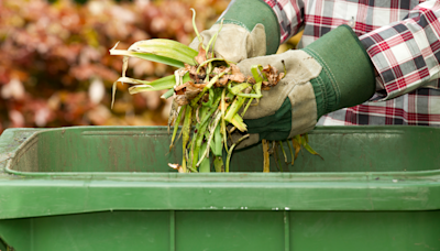 Free green waste collection promise