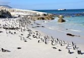 Boulders Beach