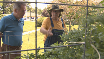 Yearly Tradition Continues for Longtime Vegetable Gardener: The Last Word
