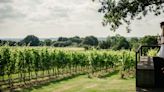 These English vineyards are perfect for alfresco days